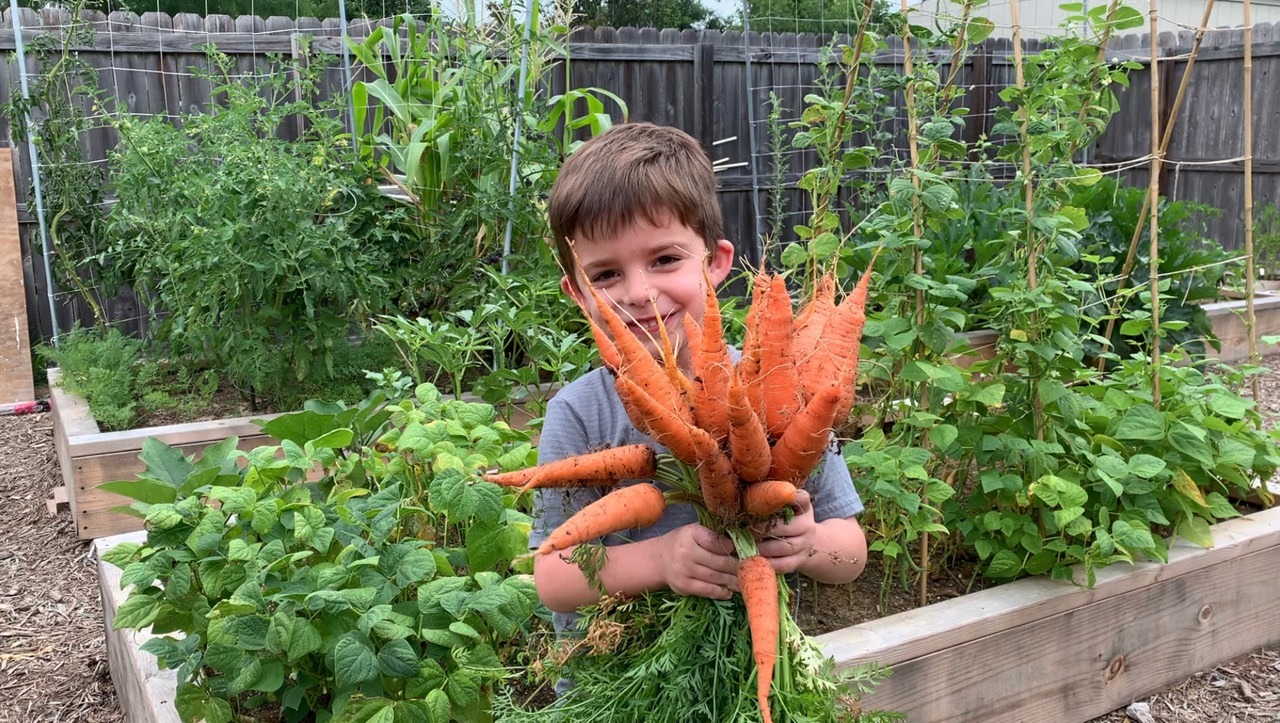 JP holding carrots from the garden